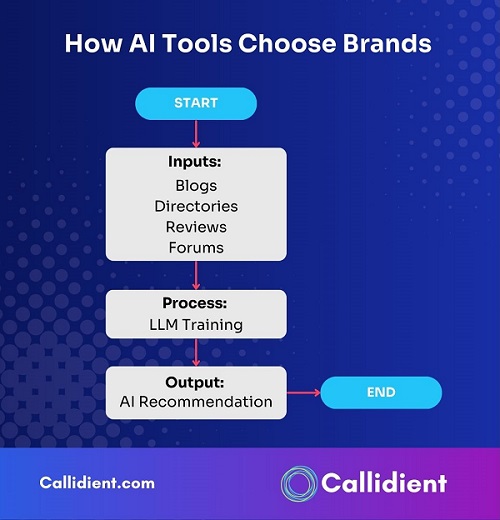 How AI Tools Choose Brands